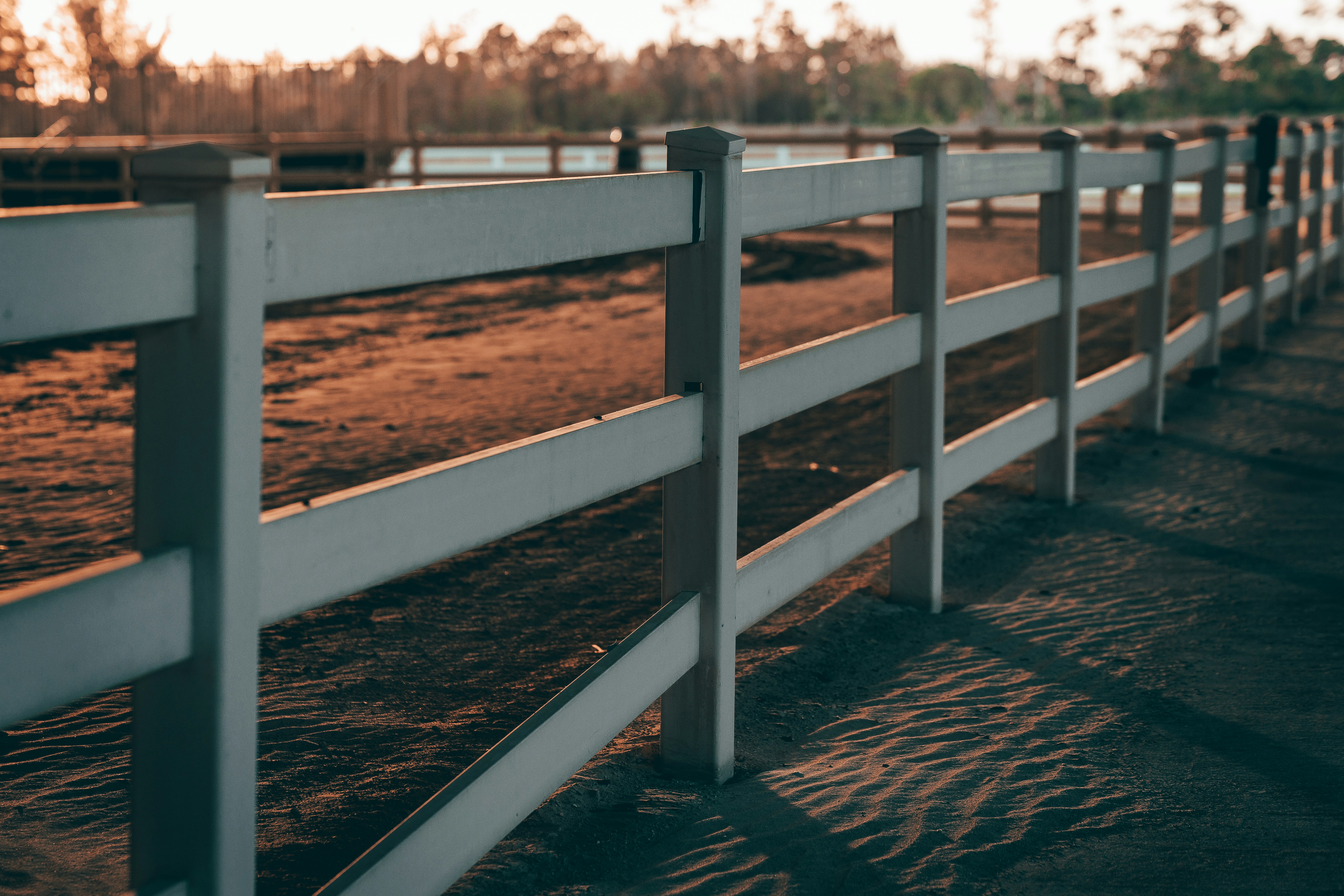 Horses looking out from stable stalls
