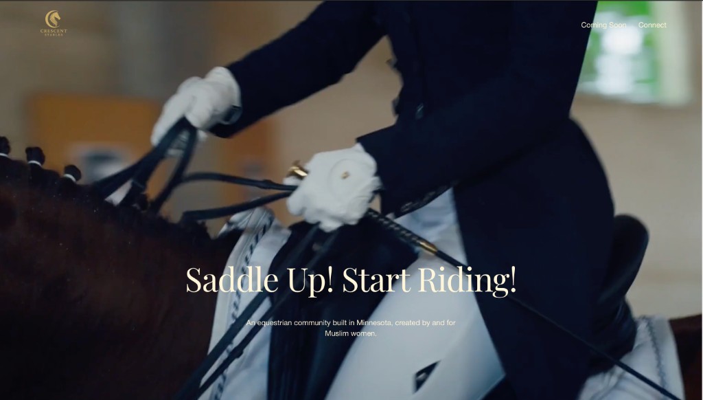 Original Crescent Stables homepage — dark navy and gold palette