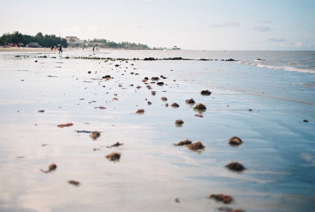 Photography by Nikaylah