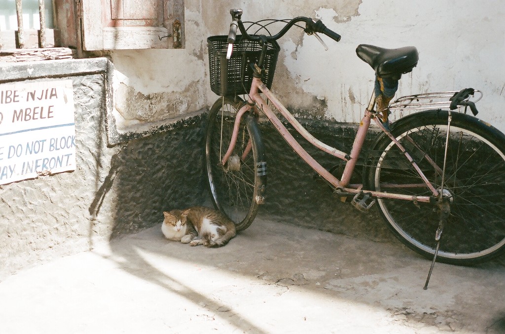 Photography by Nikaylah