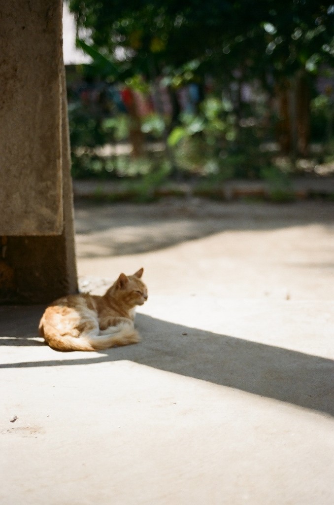 Photography by Nikaylah